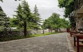 Туры в отель Villa Feliche Guest House