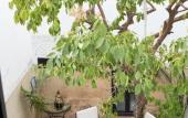 Туры в отель Riad Amegrad
