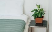 Туры в отель Hb Apartments Tabukashvili Apartments