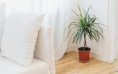 Туры в отель Hb Apartments Tabukashvili Apartments