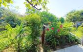 Туры в отель Anita Guest house