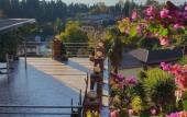 Туры в отель El Platano Guest House