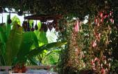 Туры в отель El Platano Guest House