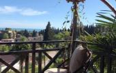 Туры в отель El Platano Guest House