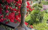 Туры в отель El Platano Guest House