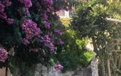 Туры в отель El Platano Guest House