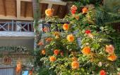 Туры в отель El Platano Guest House