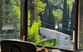 Туры в отель El Platano Guest House