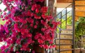 Туры в отель El Platano Guest House
