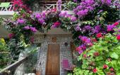Туры в отель El Platano Guest House