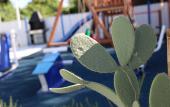 Туры в отель Alisa, Privet Guest House