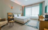 Туры в отель Fevzi Hoca Hotel