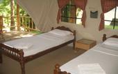 Туры в отель Amritara Riverside Luxury Tents