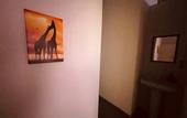 Туры в отель ZyobraHouse