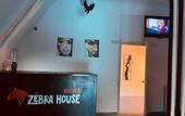 Туры в отель ZyobraHouse