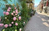 Туры в отель Peker Hotel