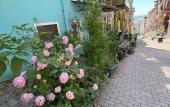 Туры в отель Peker Hotel