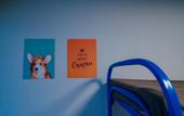 Туры в отель Mama, Ya V Gostyakh Hostel