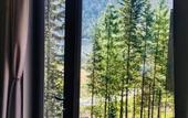 Туры в отель Teletskoye Zolotoye Eco-hotel