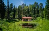 Туры в отель Teletskoye Zolotoye Eco-hotel