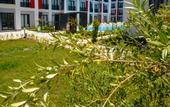 Туры в отель C Suites Antalia Airport Hotel
