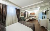 Туры в отель Solomon's Mansion Hotel Istanbul Hotel