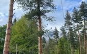 Туры в отель Recreation center Sosnovka