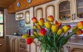 Туры в отель Milana Hotel