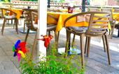 Туры в отель Ocean Suites Hotel