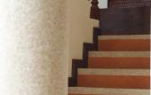 Туры в отель RedDoorz Plus Evergreen Boutique Hotel