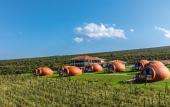 Туры в отель Hotel Qvevrebi
