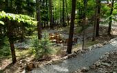 Туры в отель Hotel Narniya