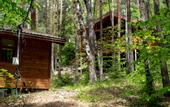 Туры в отель Hotel Narniya