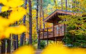 Туры в отель Hotel Narniya