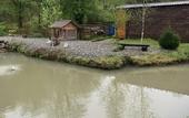 Туры в отель Olginka Guest House