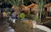 Туры в отель Olginka Guest House