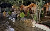 Туры в отель Olginka Guest House