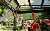 Туры в отель Lodzhi Korkmaz Hotel