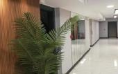 Туры в отель Flora Ordu Hotel & Apart & Suit