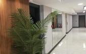 Туры в отель Flora Ordu Hotel & Apart & Suit
