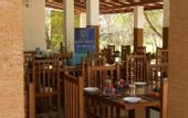 Туры в отель Lario Resort Sigiriya