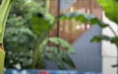 Туры в отель Casa De La Luz Guest House