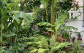 Туры в отель Casa De La Luz Guest House