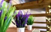 Туры в отель House in Gorny Altai Guest house