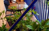 Туры в отель BaniHills Tbilisi Hotel