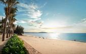 Туры в отель S1823 Apec Mandala Cham Bay