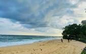 Туры в отель Beverly Beach Mirissa