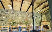 Туры в отель Traveler's Cottage in Kazbegi