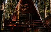 Туры в отель Elki House