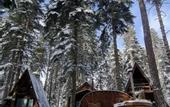 Туры в отель Elki House